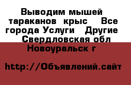 Выводим мышей ,тараканов, крыс. - Все города Услуги » Другие   . Свердловская обл.,Новоуральск г.